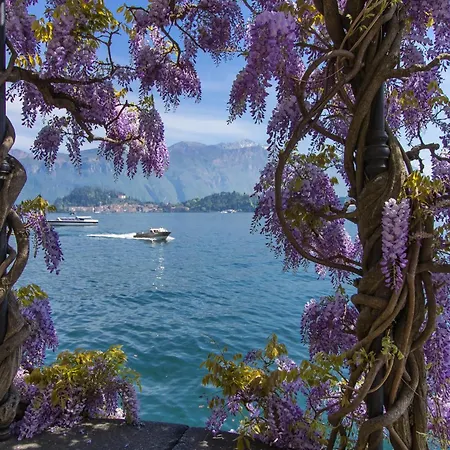 Bellavista